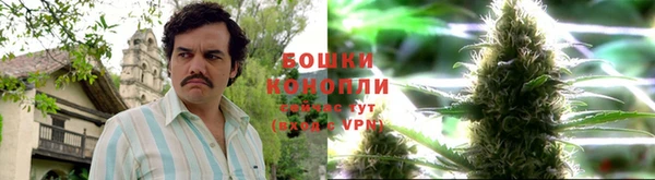 герыч Мегион
