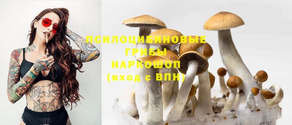 стафф Медногорск