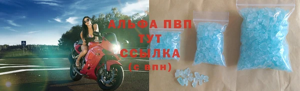 стафф Медногорск