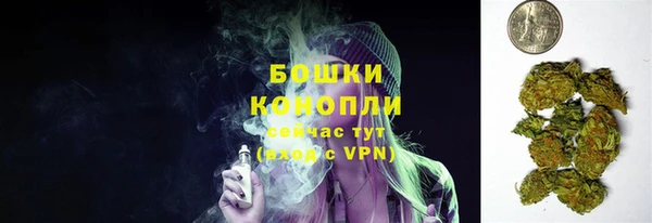 стафф Медногорск