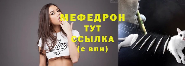 стафф Медногорск