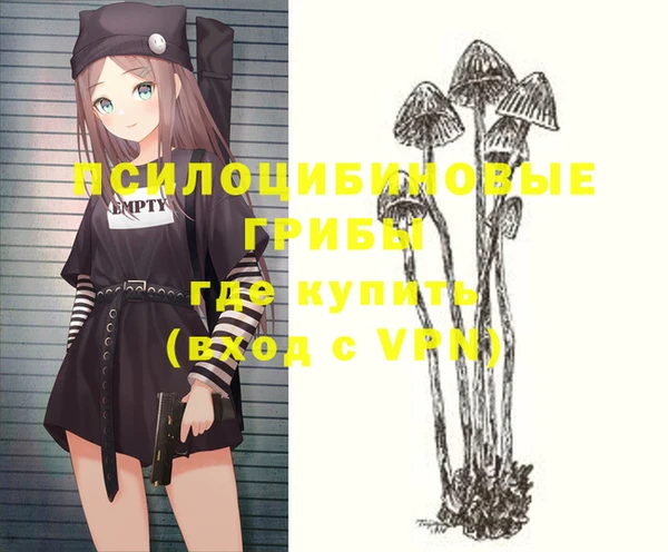 стафф Медногорск