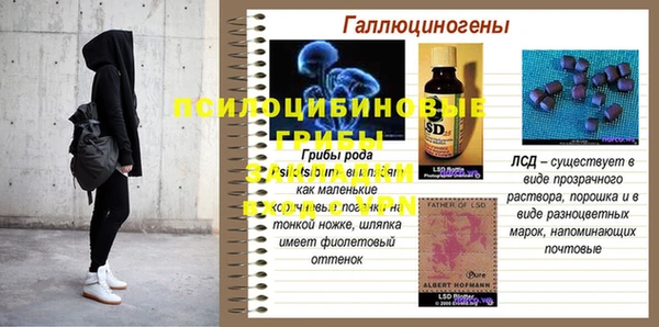 герыч Мегион