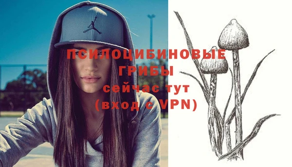 стафф Медногорск