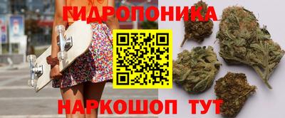 таблы Гатчина