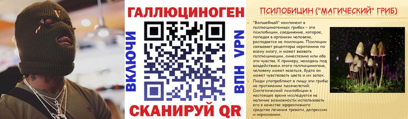 купить цена Богданович Псилоцибиновые грибы ЛСД
