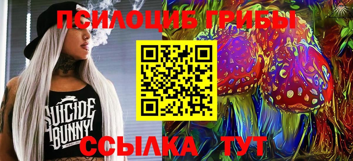 Псилоцибиновые грибы мицелий Богданович
